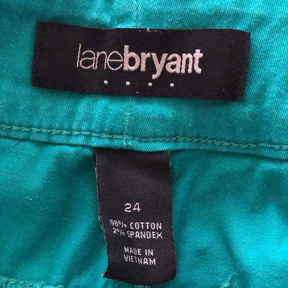 Lane Bryant Teal Cotton Shorts, Size 24, 90s Style - Picture 5 of 7